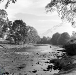 Fishing, River Wharfe, Bolton Abbey